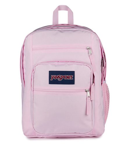 Big Student (Pink) Backpack