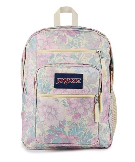 Big Student (Multicolor) Backpack
